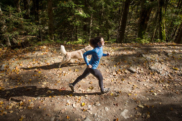 Naklejka na ściany i meble young female runner training in autumn forest 