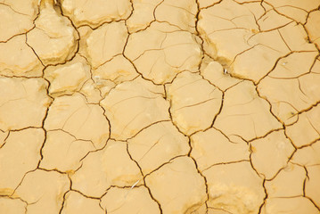 Dry Cracked Earth Background