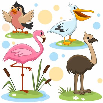 Иллюстрация для детей с изображением птиц, пеликана, эму, фламинго и воробья.