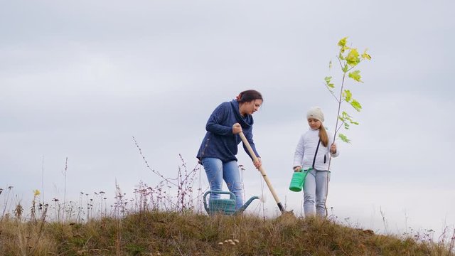 Young woman, together with her daughter, plant a tree on the hill. Woman with a shovel digging a hole for a tree. A cloudy autumn day