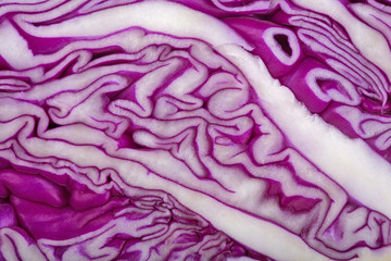 Obraz premium red cabbage closeup background