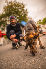 Hundestaffel Rettungshund Samariter-Bund