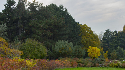 Naklejka premium Beautiful autumn park alley. with yellow leaves on the trees