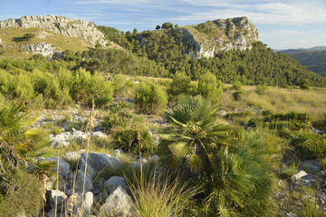 Parc Natural de la Peninsula de Llevant (Mallorca, Spain)
