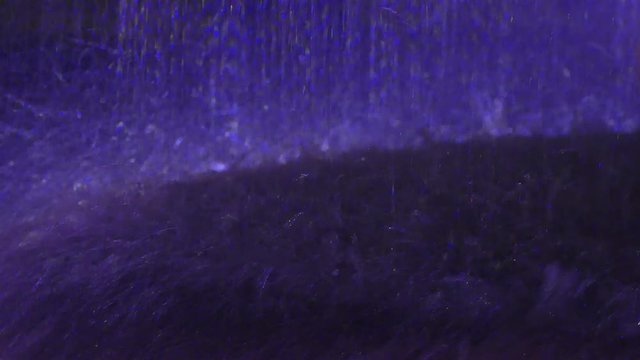 Heavy rain shot in close up, 4 K Video Clip