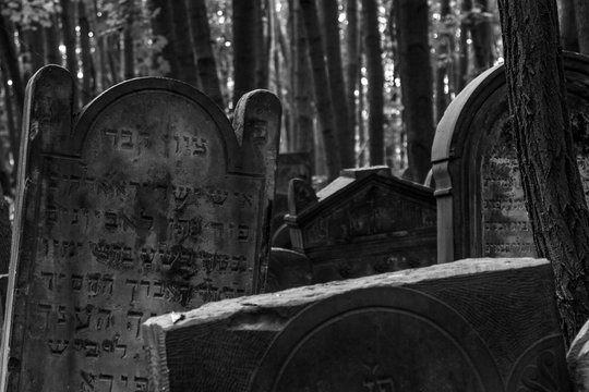 Postcards from Poland: abandoned Jewish Cemetary in Warsaw