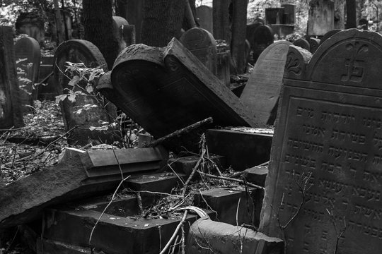 Postcards from Poland: abandoned Jewish Cemetery in Warsaw