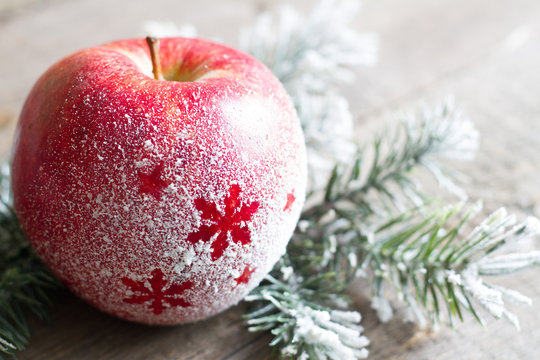 Christmas snowy apple with  tree abstract background concept 
