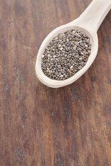 Seeds of chia - Salvia hispanica