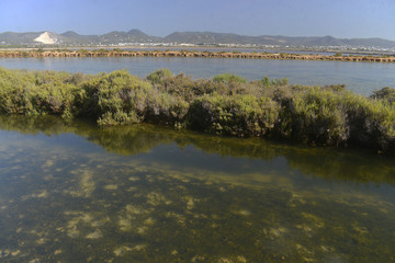 Parque natural de ses Salines (Ibiza y Formentera) - Islas Baleares, Spain
