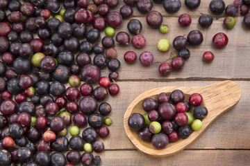 Fruits of wild grapes on different backgrounds (Vaccinium meridionale)