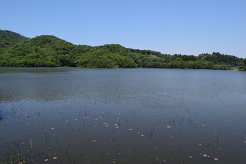 大山上池・大山下池 ラムサール条約登録地 ／...