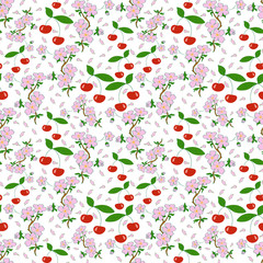 Seamless pattern with blossoming Japanese cherry twig and berries, cherries, white background