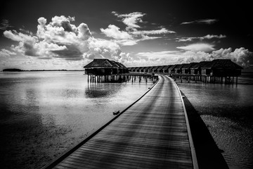 Black and white nature landscape. Luxury water villas in a tropical beach resort