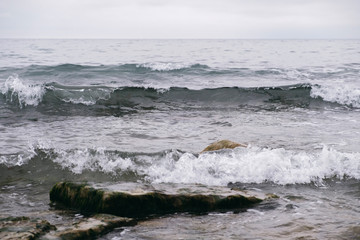 Storm on the black sea in winter