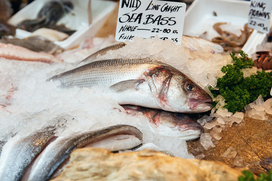 Freshly caught Sea Bass fishes and other seafood on display at Borough Market