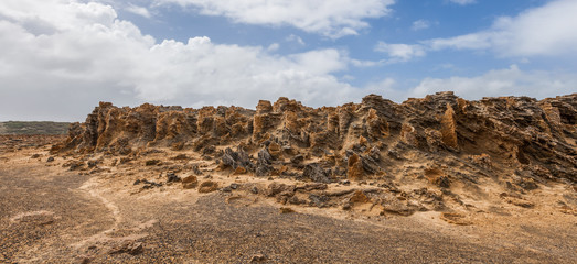 Fototapeta na wymiar Unusual petrified forest - rock formations in Cape Bridgewater, Victoria, Australia