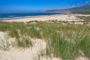 Fototapeta na wymiar Sand dunes and beach landscape on sunny summer day