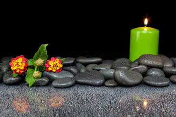 Stones and flower on black background with reflection