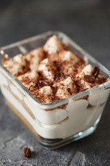 Tiramisu dessert cake in portion bowl