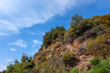 Fototapeta na wymiar Rock and vegetation on sunny day