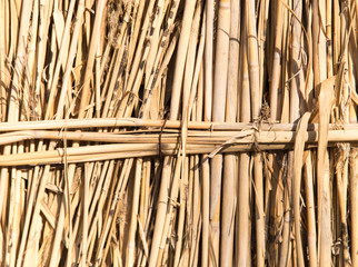 background of reed fence