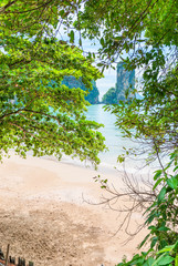 sandy beach and a beautiful bay through the foliage of trees