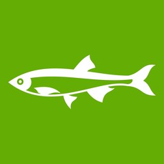 Herring fish icon green