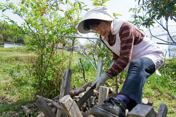 Elderly woman chopping firewood