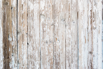 Wooden background of old fence with rusty nails. Shabby texture of white colored wooden boards.