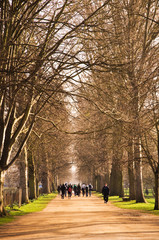 Oxford University, Poplar walk