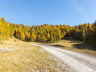 Fototapeta na wymiar Autumn mountain landscape, Italy