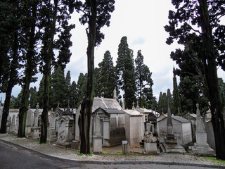 Postcards from Portugal: Lisbon, Prazeres cemetery