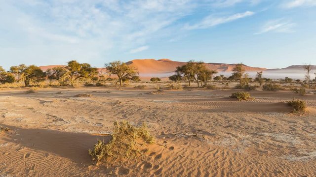 Panorama on colorful sand dunes and scenic landscape in the Namib desert, Namib Naukluft National Park, tourist destination in Namibia. Travel adventures in Africa.