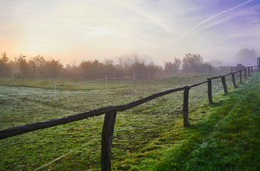 Fototapeta na wymiar Mist and fog softens the scene early morning at a horse ranch in Germany