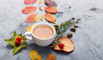 autumn composition cup of tea. autumn leaves on dark background