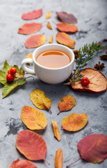 autumn composition cup of tea. autumn leaves on dark background