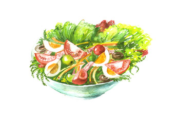 A plate of vegetable salad, tomatoes, greens, cucumbers, onions, olives, eggs, dill, parsley, cherry tomatoes. Handmade drawing on white isolated background.