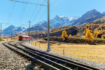 Fototapeta premium Bernina Express - Svizzera - Salita verso il Passo Bernina