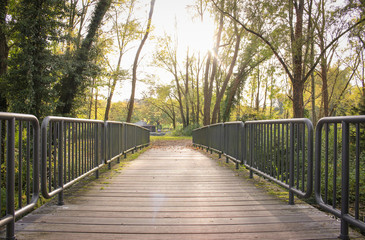 Brücke im Gegenlicht 1