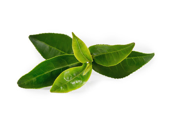 Obraz premium Tea Leaves