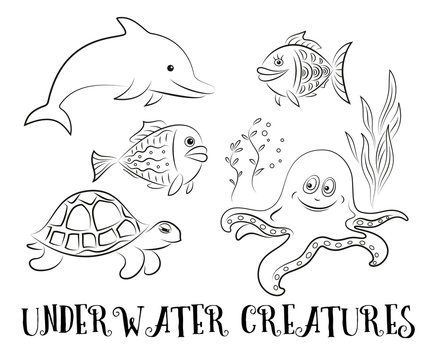 Sea Creatures Set, Cartoon Dolphin, Fish, Turtle, Octopus and Algae Black Contours Isolated on White Background. Vector