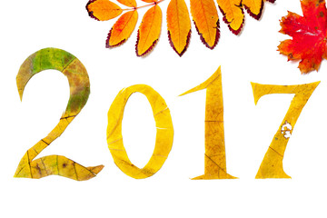 2017 digits carved from maple leaves on white background