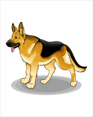 Cartoon of dog-vector drawing-isolated white background