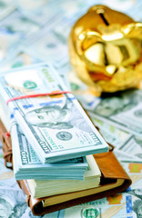 Piggy bank and money