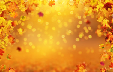 Autumn background with falling leaves, free space for text