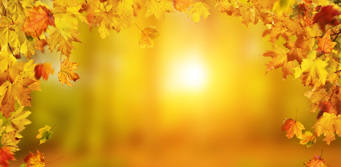 Autumn background with falling leaves, free space for text