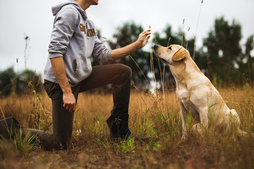 Fototapety  Przytnij człowieka z psem w jesiennym polu