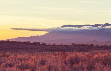 Fototapeta premium Prairie
