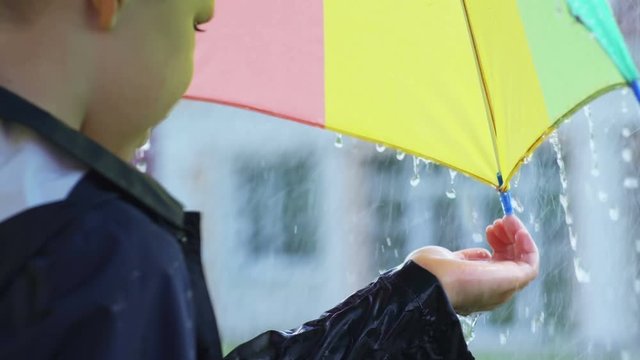 Cinemagraph of little boy holding umbrella and catching raindrops in his palm while standing under heavy rain